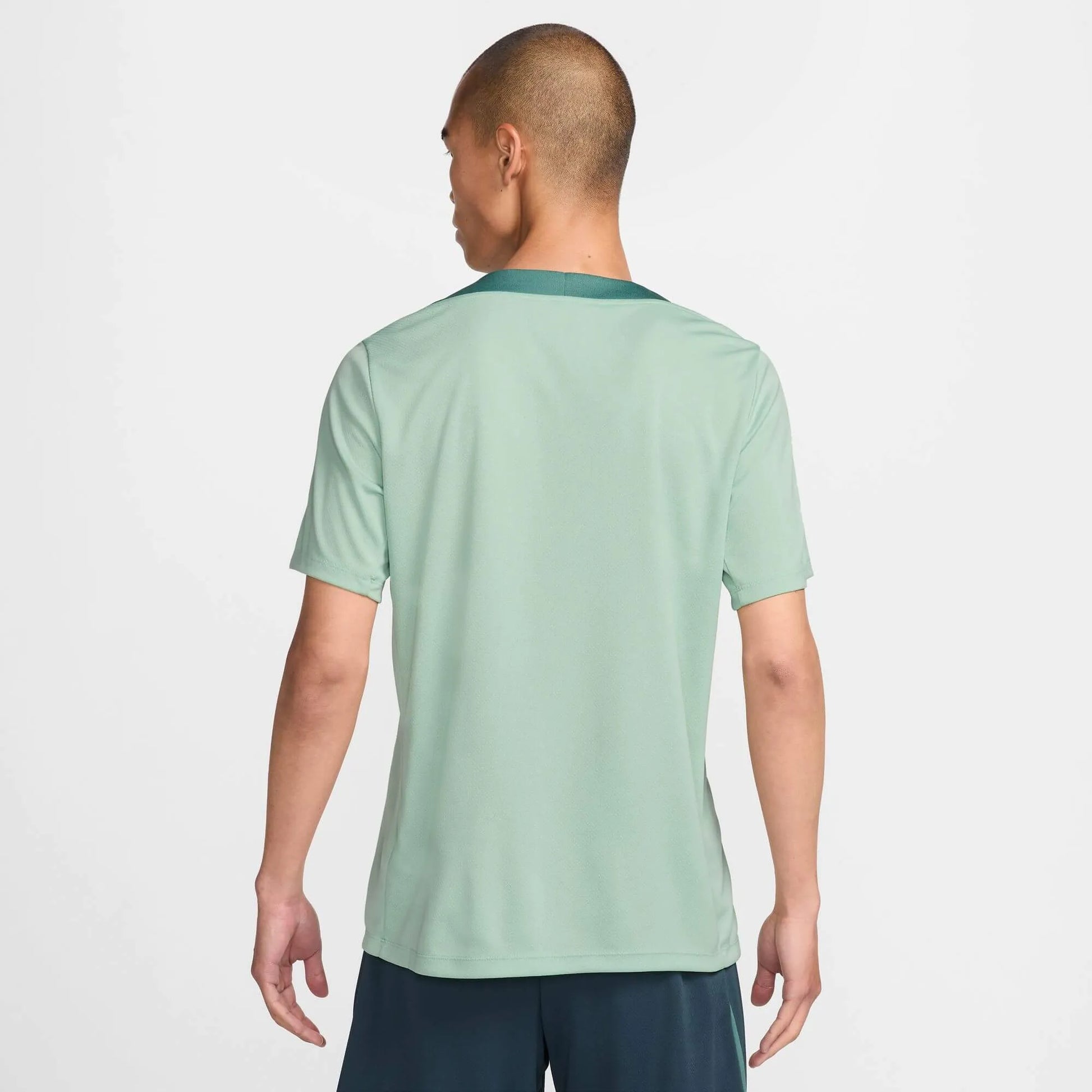 Nike 2024-25 Tottenham Men's Strike Top Enamel Green/Bicoastal/Faded Spruce (Model - Back)