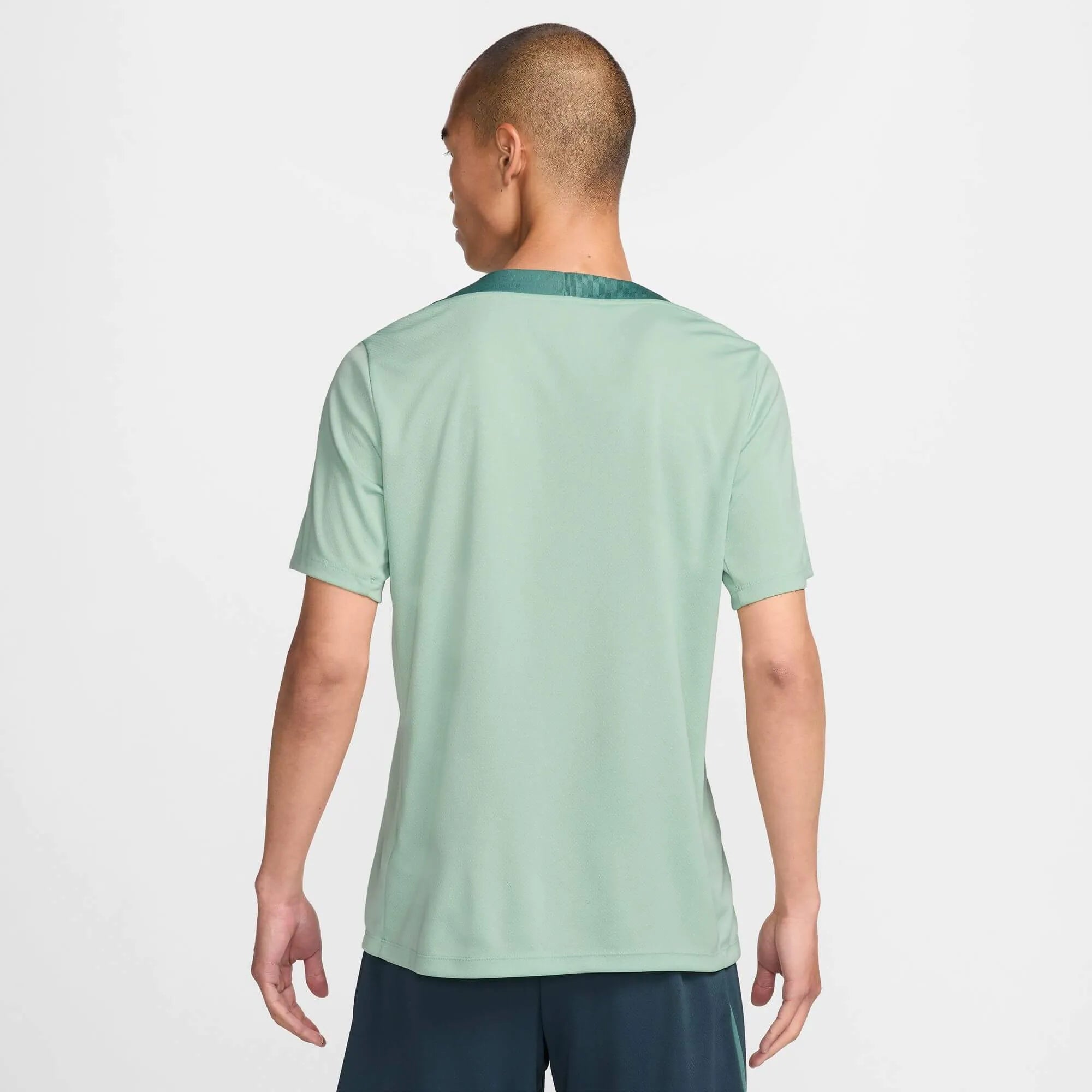 Nike 2024-25 Tottenham Men's Strike Top Enamel Green/Bicoastal/Faded Spruce (Model - Back)