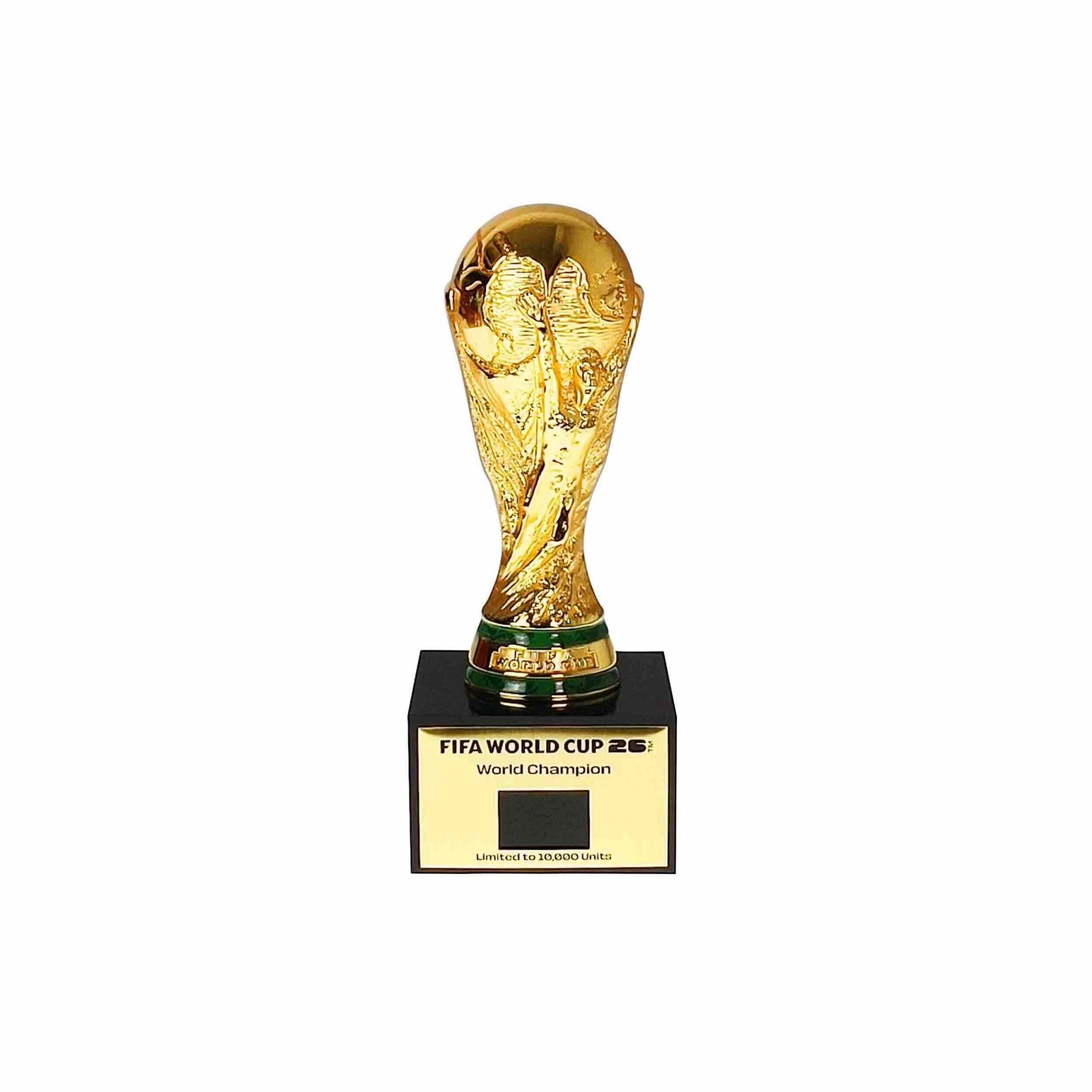FIFA World Champion 3D Trophy Replica DIY Champion Flag (Trophy - Front)