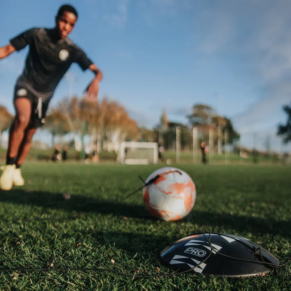 Flick Pro Return Ball (Model)