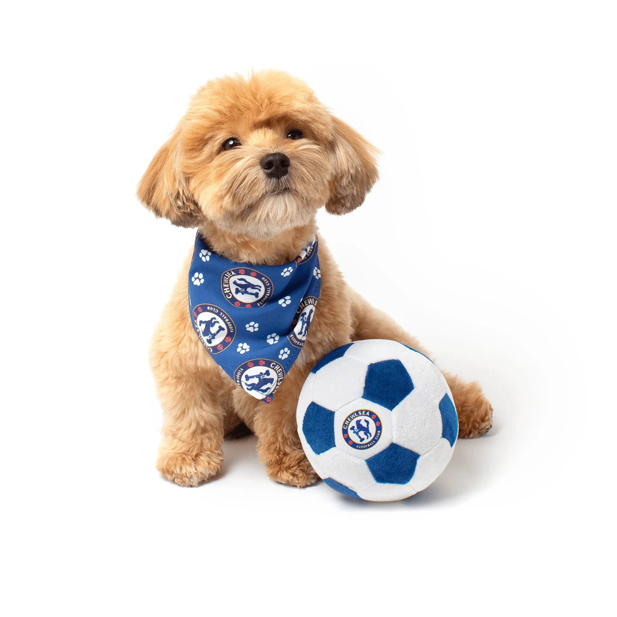 Floofball Chewlsea Dog Bandana (Dog)