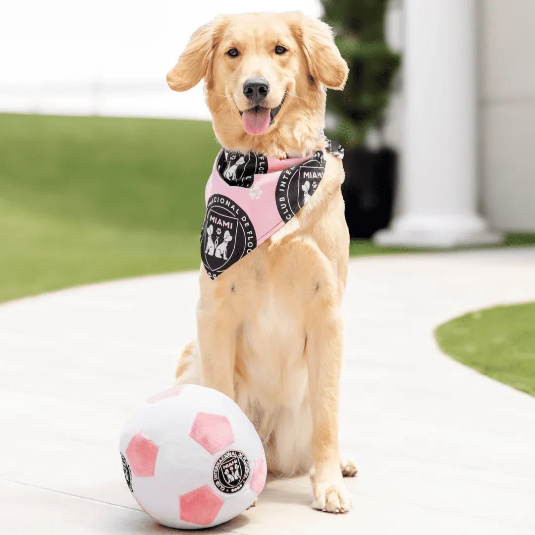 Floofball Miami Plush Large (7.5"x7.5") Soccer Ball - Dog Toy (Dog)