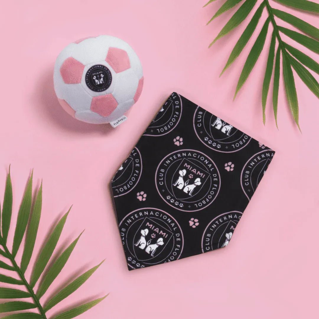 Floofball Miami Plush Large (7.5"x7.5") Soccer Ball - Dog Toy (Promo)