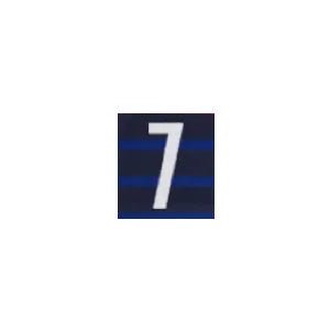 France 2020/21 Home Griezmann #7 Jersey Name Set