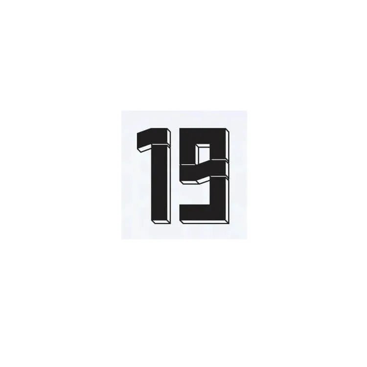 Germany 2024/25 Home Sane #19 Jersey Name Set