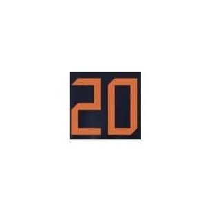 Holland 2020/21 Away Van De Beek #22 Jersey Name Set