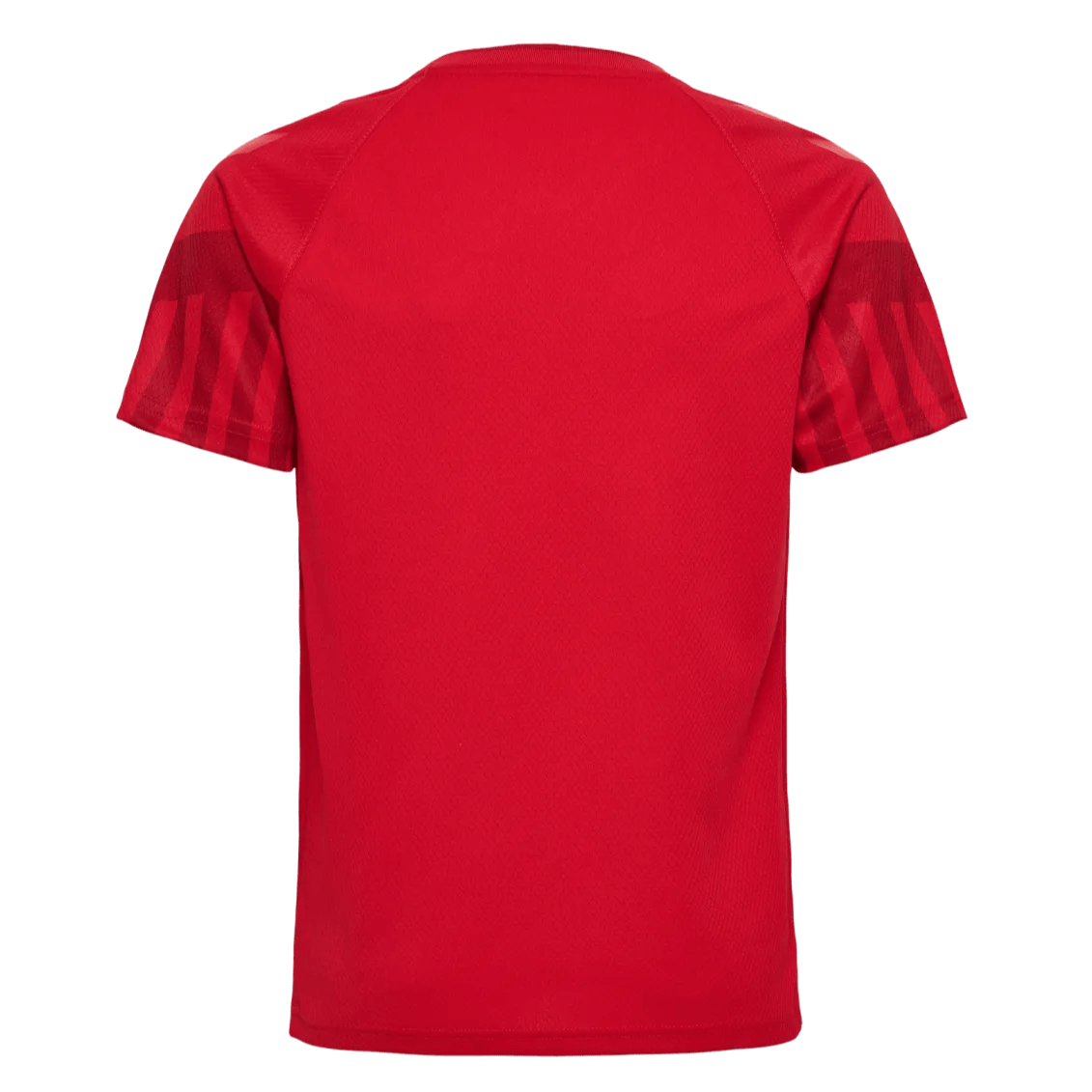 Hummel 2022-23 Denmark Youth Home Jersey - Tango Red (Back)