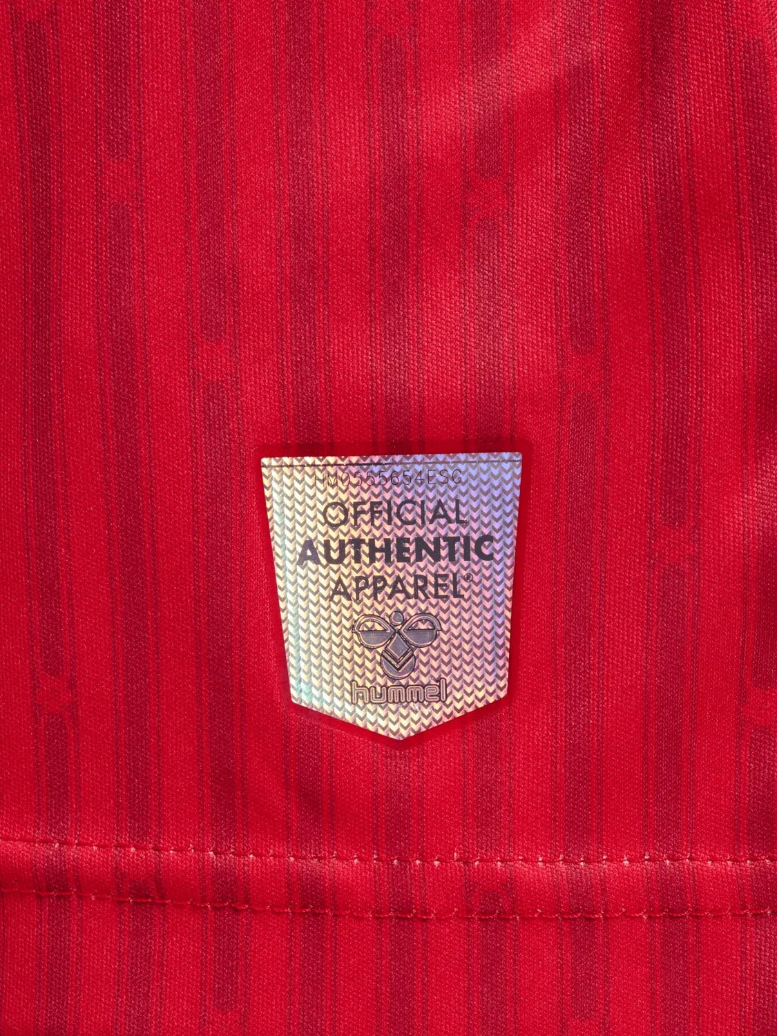 Hummel 2023-24 Southampton Stadium Home Jersey (Detail 5)