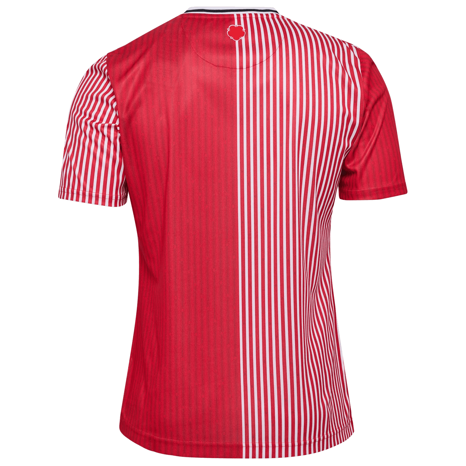 Hummel 2023-24 Southampton Stadium Home Jersey (Back)