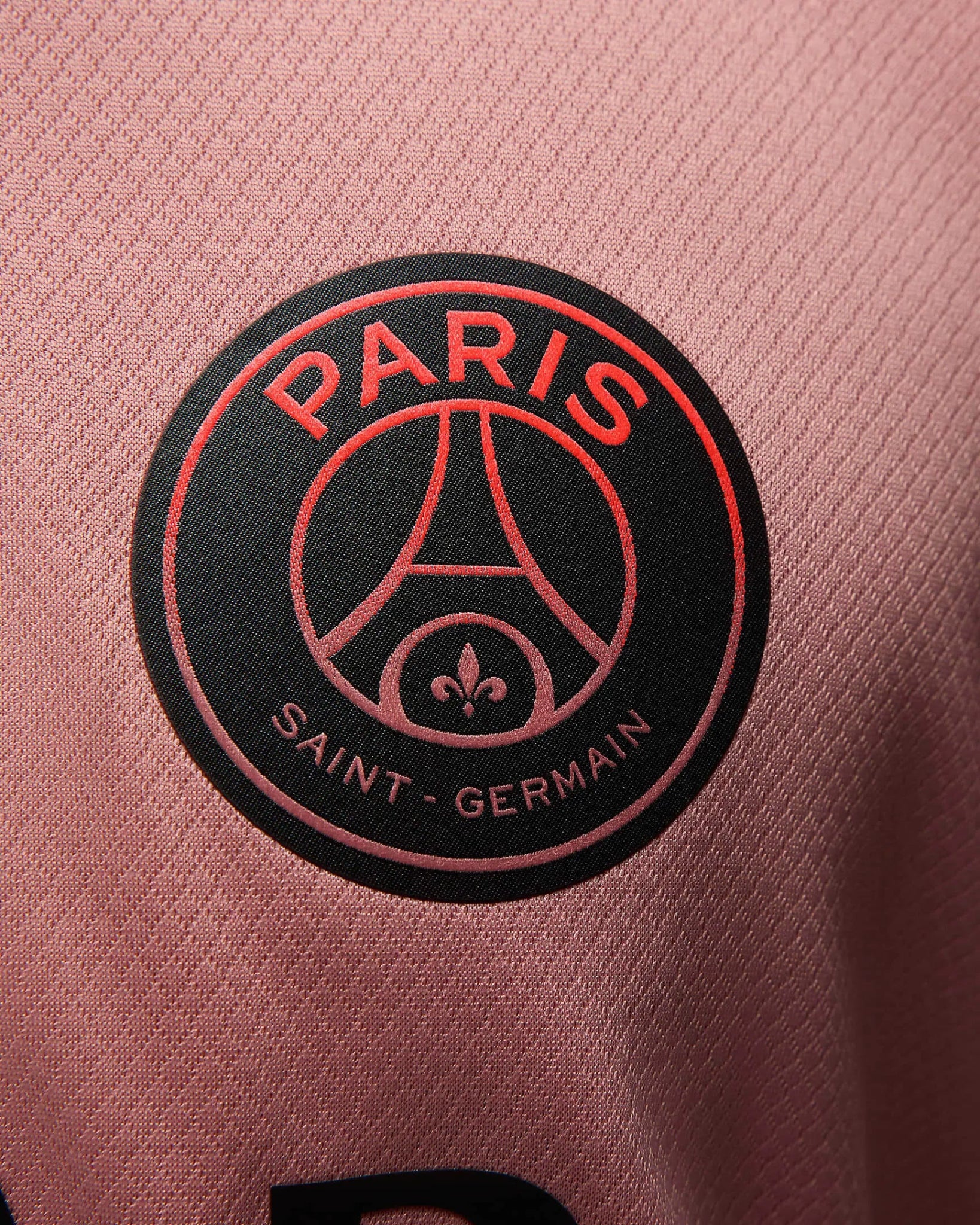 Jordan 2024-25 PSG Men's Stadium Third Jersey (Detail 4)