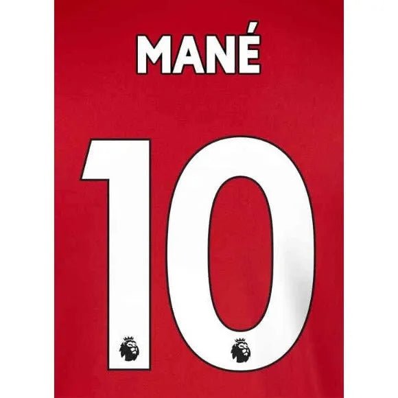 Liverpool 2019/22 Home Mane #10 Jersey Name Set