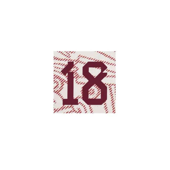 Mexico 2022-23 Away A. Guardado #18 Youth Jersey Name Set (Front)