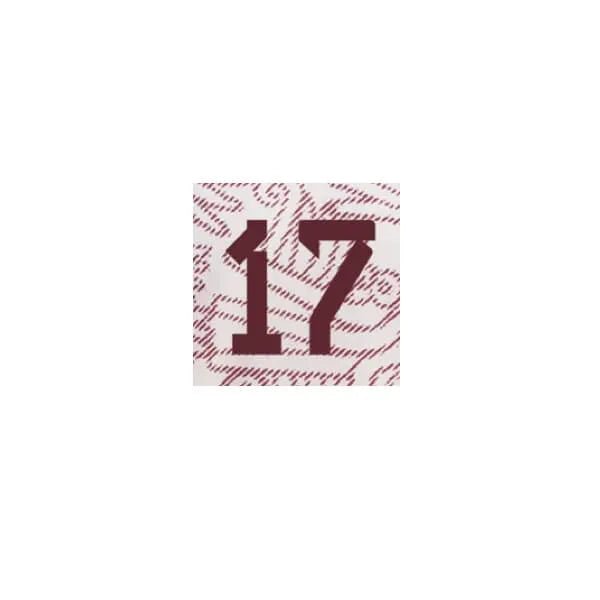 Mexico 2022/23 Away Jesus C. #17 Jersey Name Set