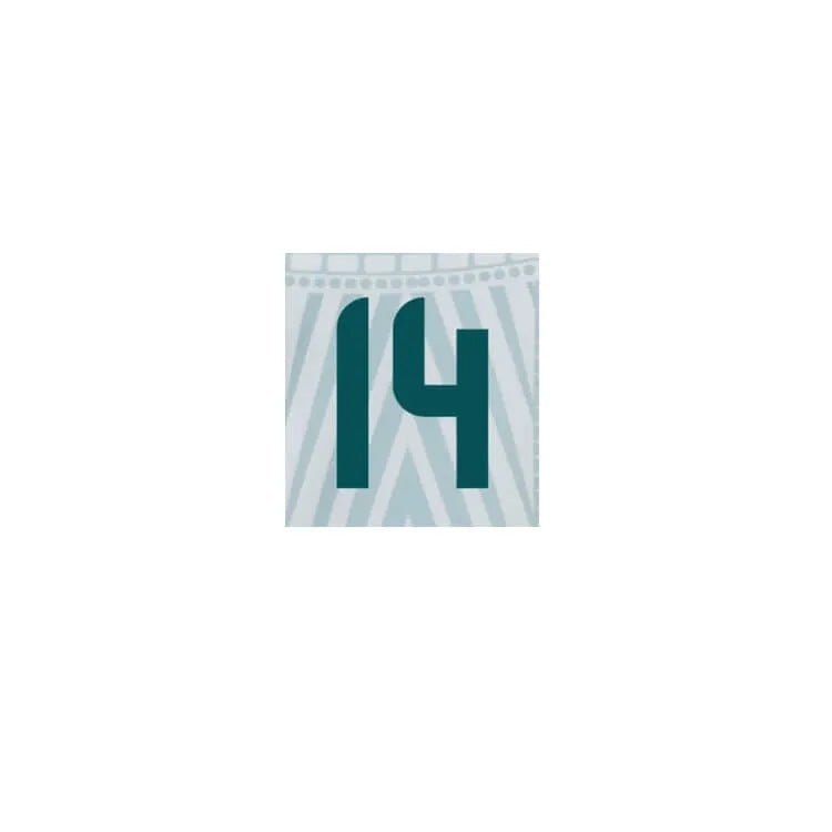 Mexico 2024/25 Away Chicharito #14 Youth Jersey Name Set (Front)