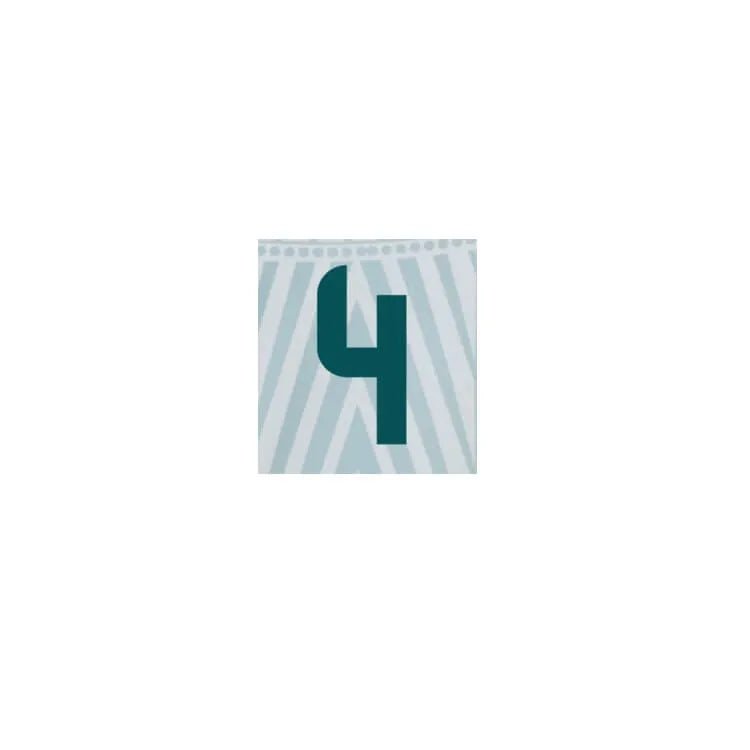 Mexico 2024/25 Away E. Alvarez #4 Jersey Name Set