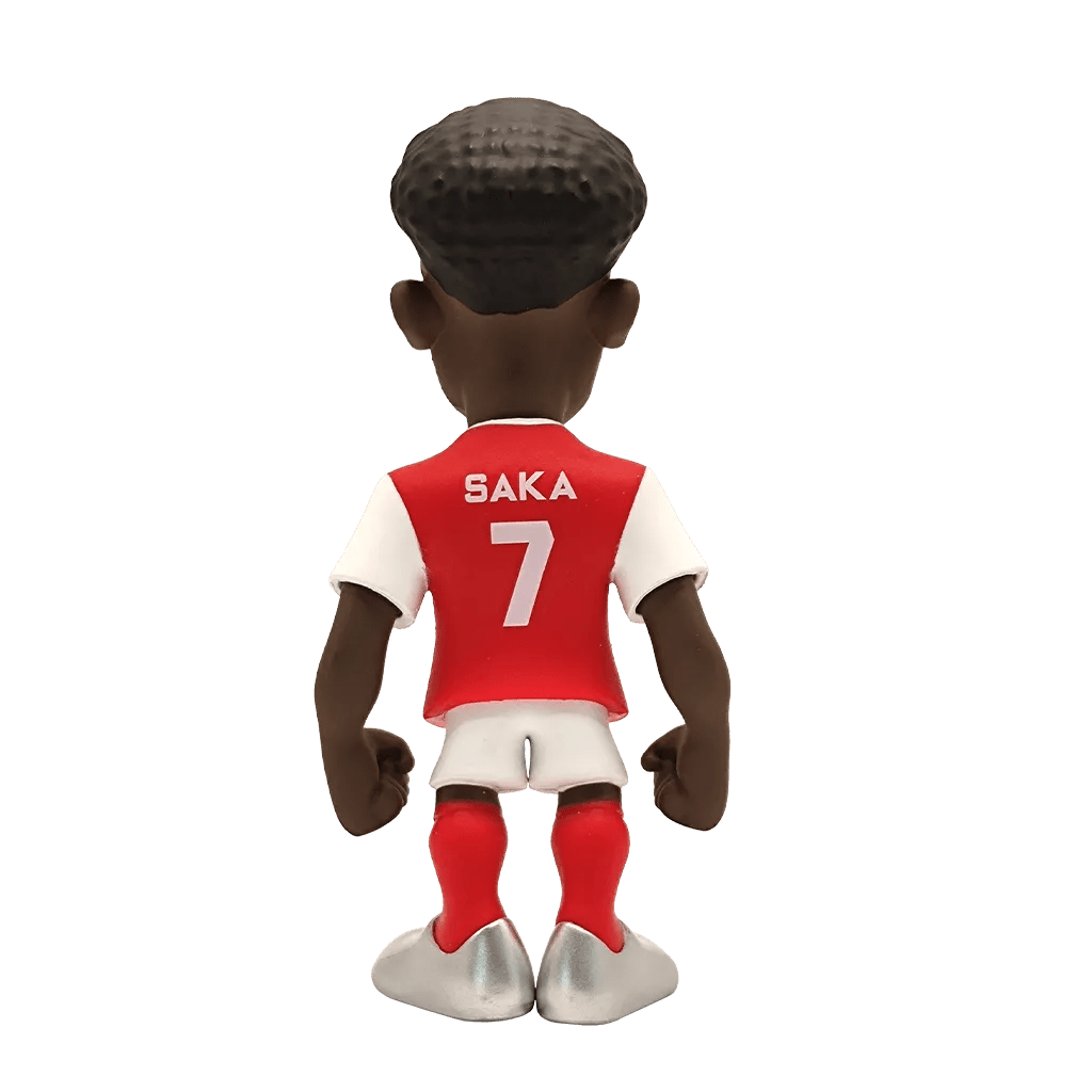 Minix 12 CM Saka (Back)