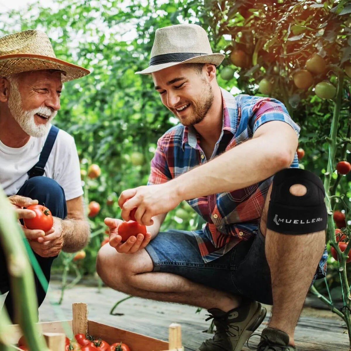 Mueller Adjustable Knee Stabilizer with Contoured Support (Model 3)