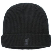 Nike 2021-22 Liverpool Fisherman Beanie - Black (Front)