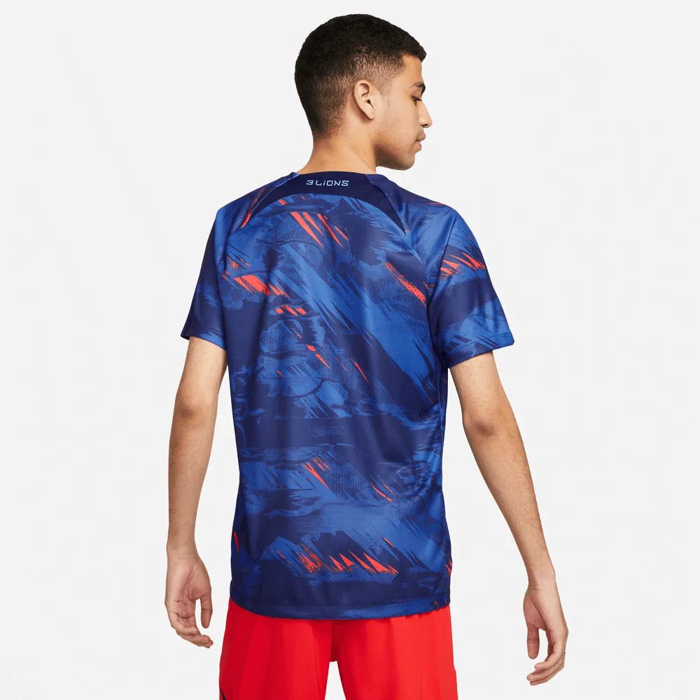 Nike 2022-23 England Dri Fit Top Blue Voids-Game Royal (Model - Back)