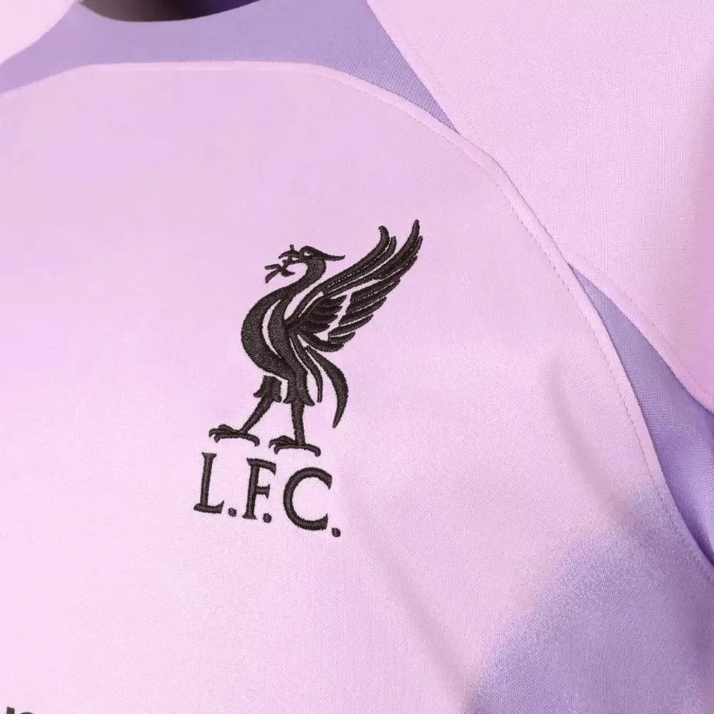 Nike 2022-23 Liverpool Stadium Goalkeeper Jersey - Purple-Black