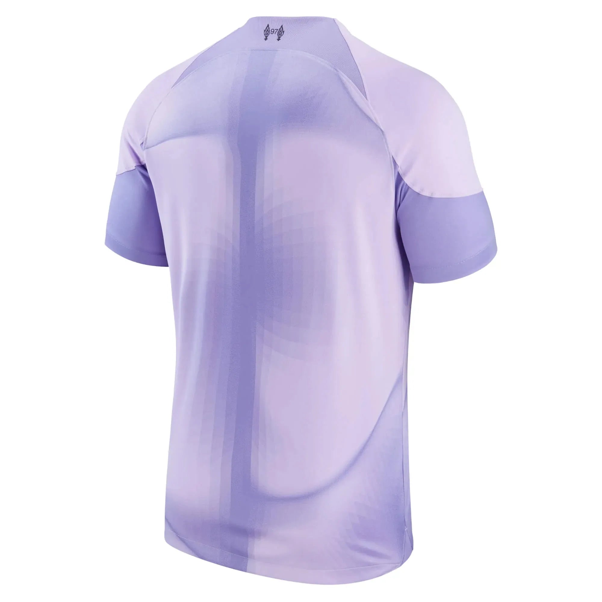 Nike 2022-23 Liverpool Stadium Goalkeeper Jersey - Purple-Black