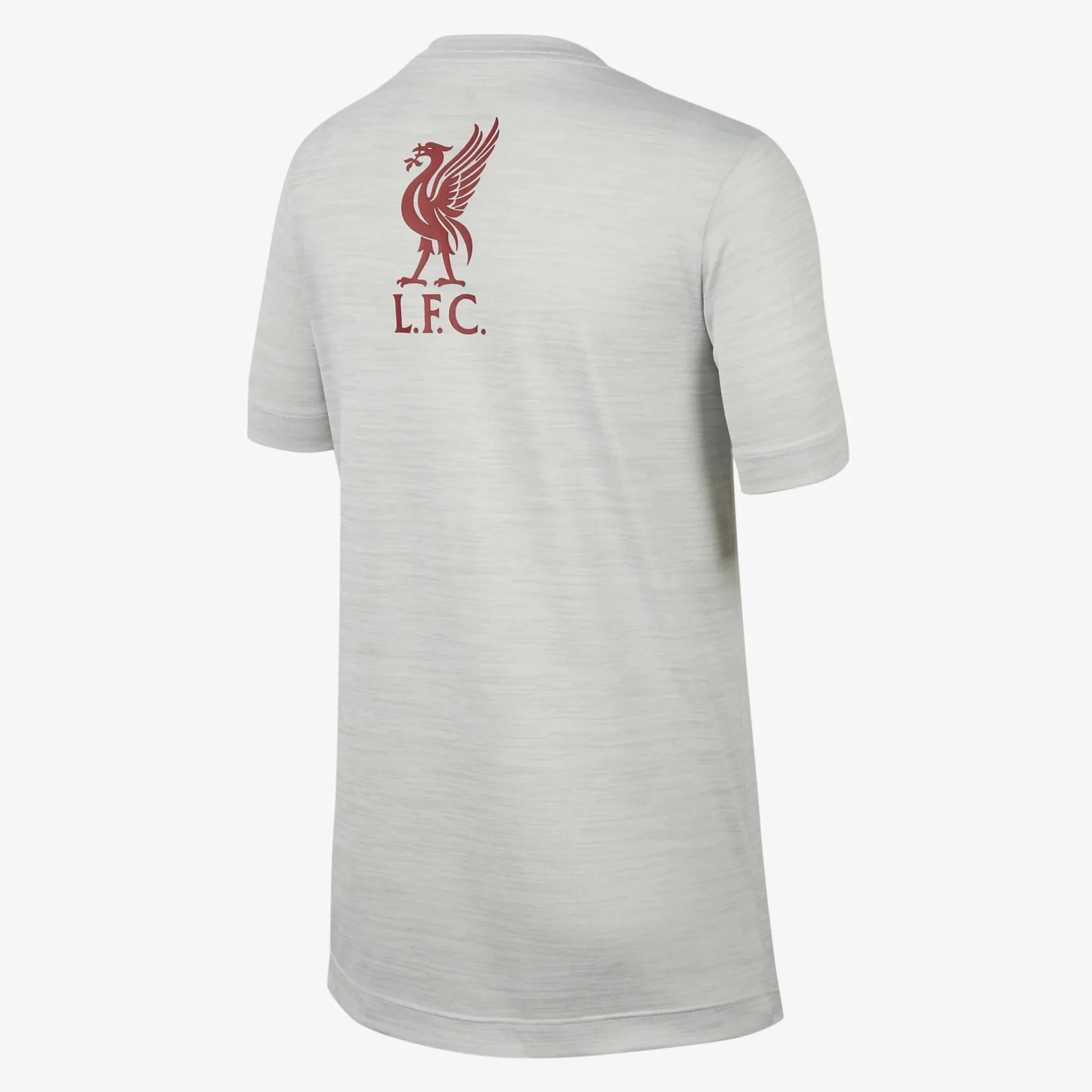 Nike 2022-23 Liverpool Youth Legend Tee