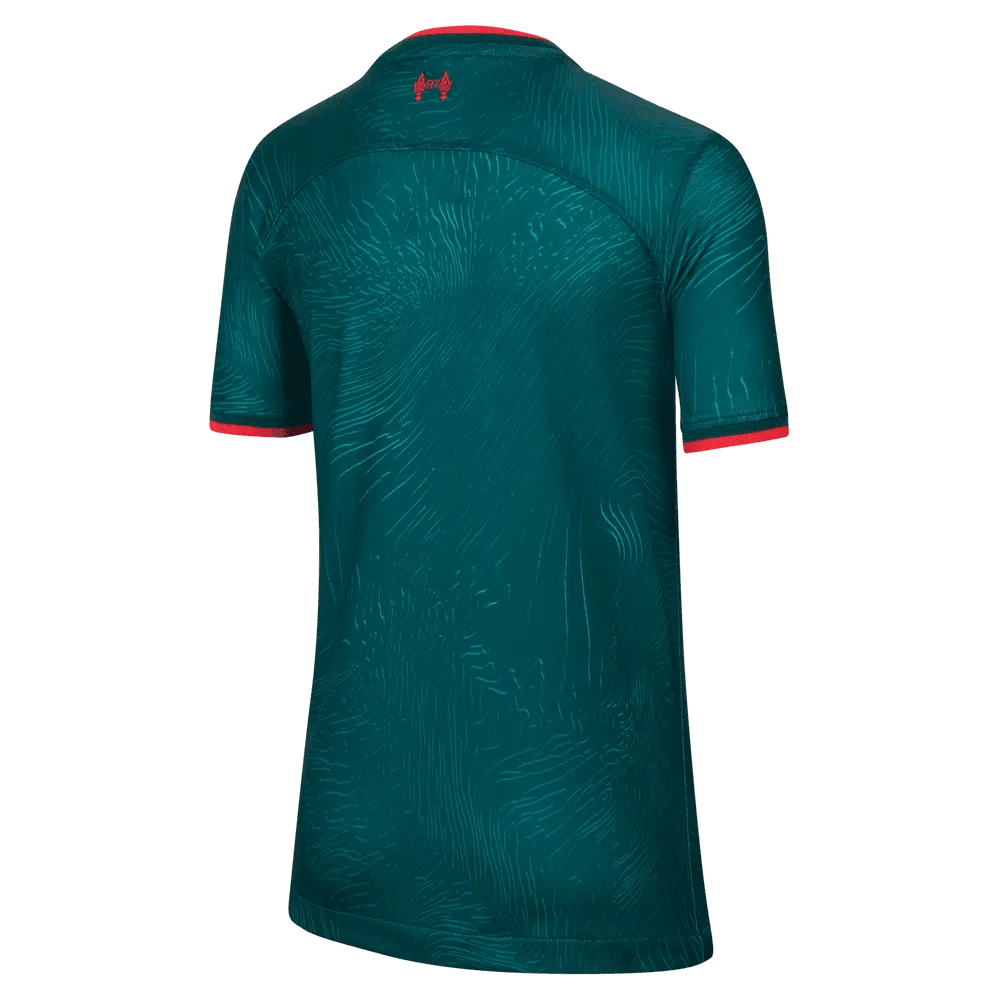 Nike 2022-23 Liverpool Youth Third Jersey - Atomic Teal-Siren Red