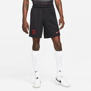 Nike 2022 PSG DF Stadium Shorts - Black-Red