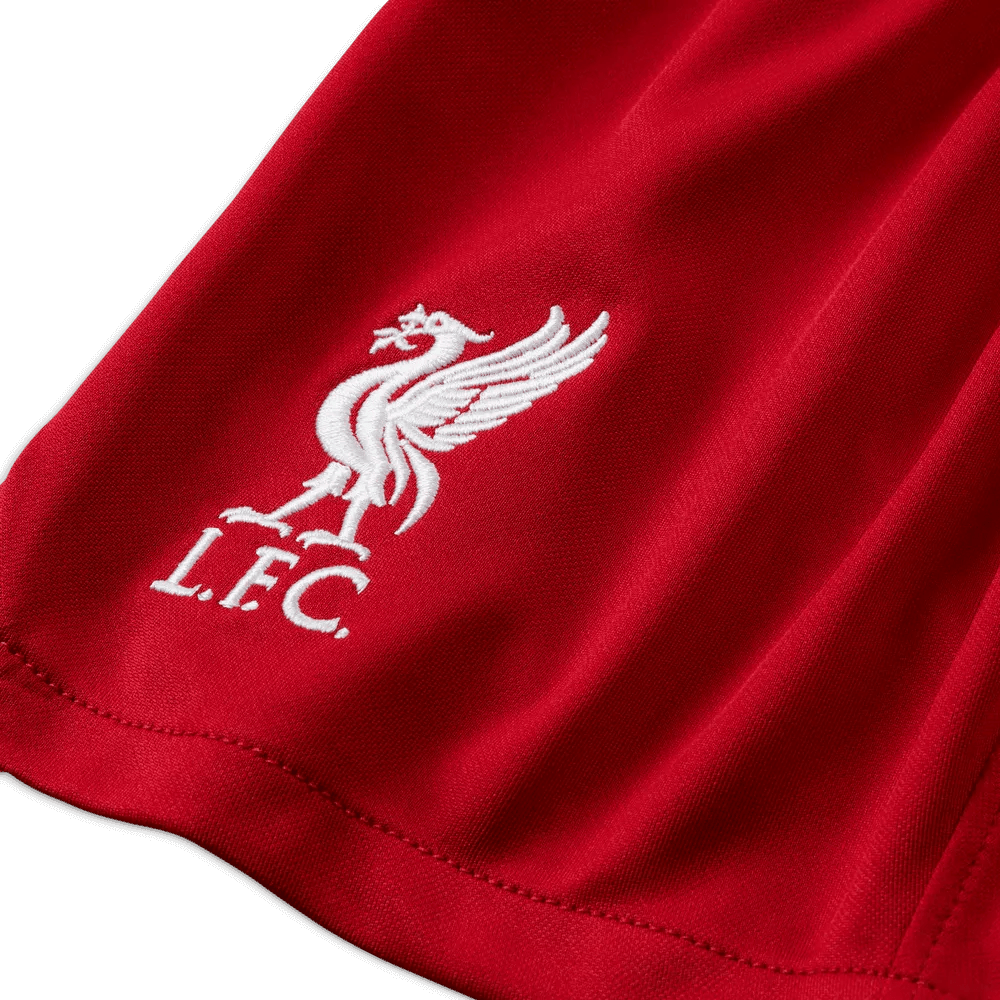 Nike 2023-24 Liverpool Youth Stadium Home Shorts (Detail 1)