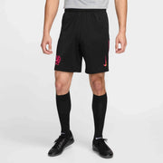 Nike 2024-25 Chelsea Men's Stadium Third Shorts