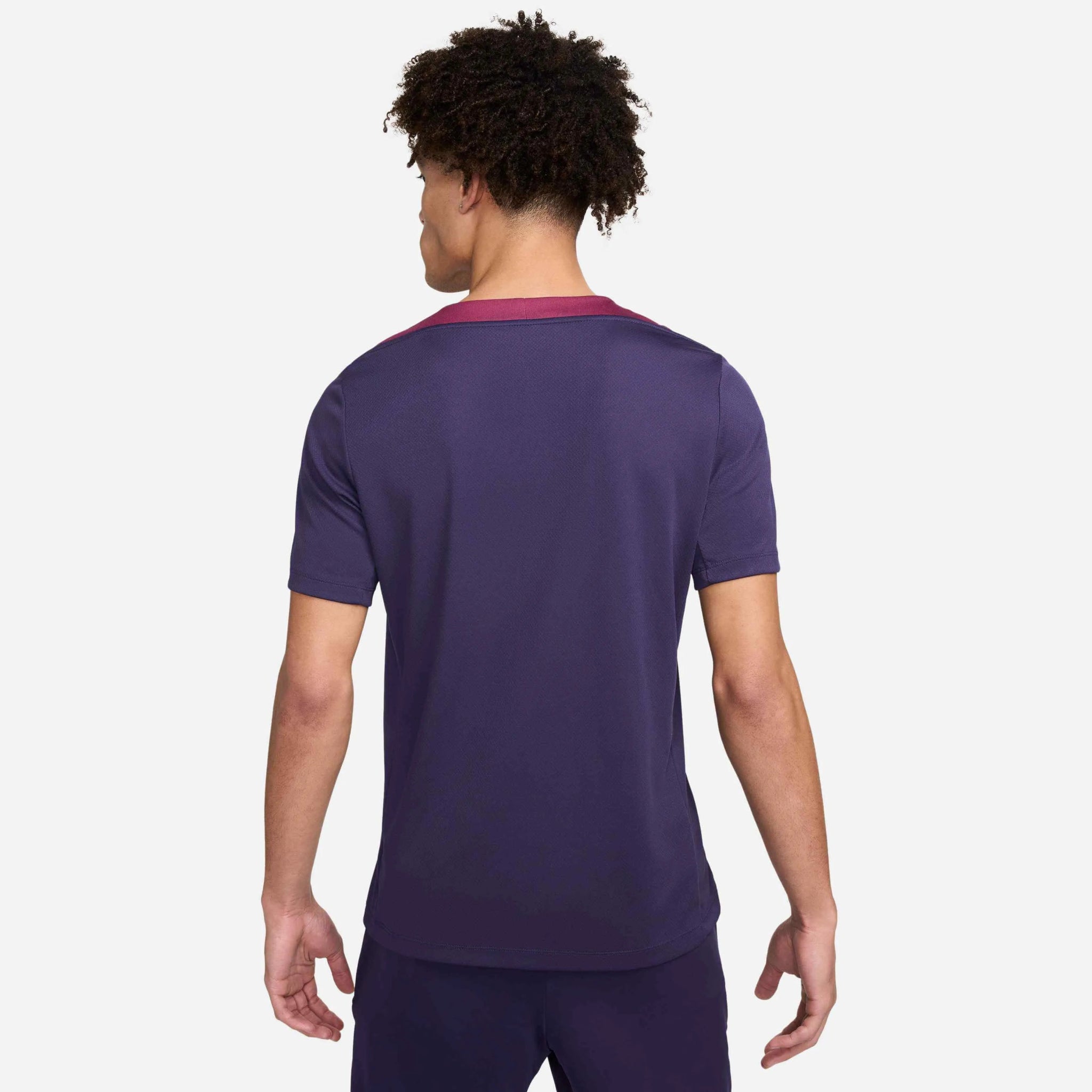 Nike 2024-25 England Men's Dri-Fit Short Sleeve Knit Top (Model - Back)