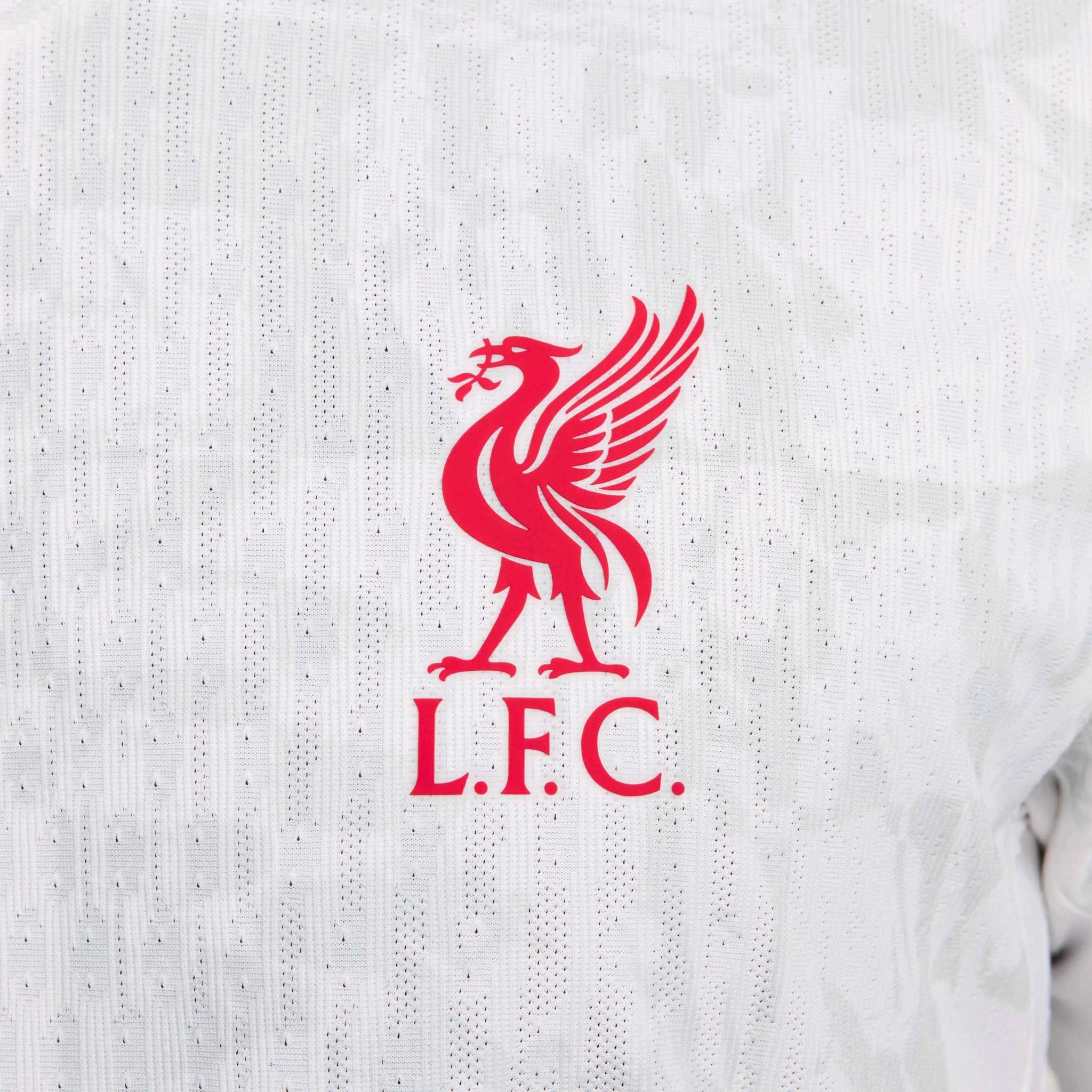 Nike 2024-25 Liverpool Men's Third Authentic Third Jersey