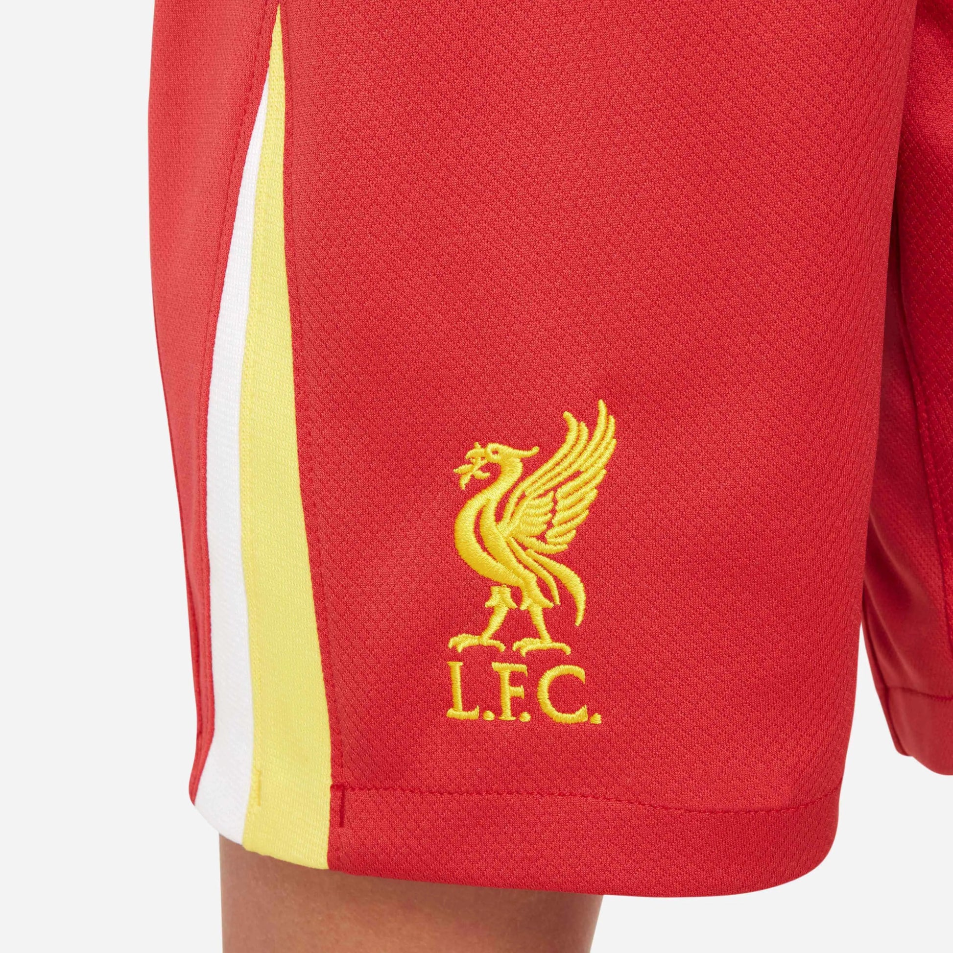 Nike 2024-25 Liverpool Youth Stadium Home Shorts (Detail 2)