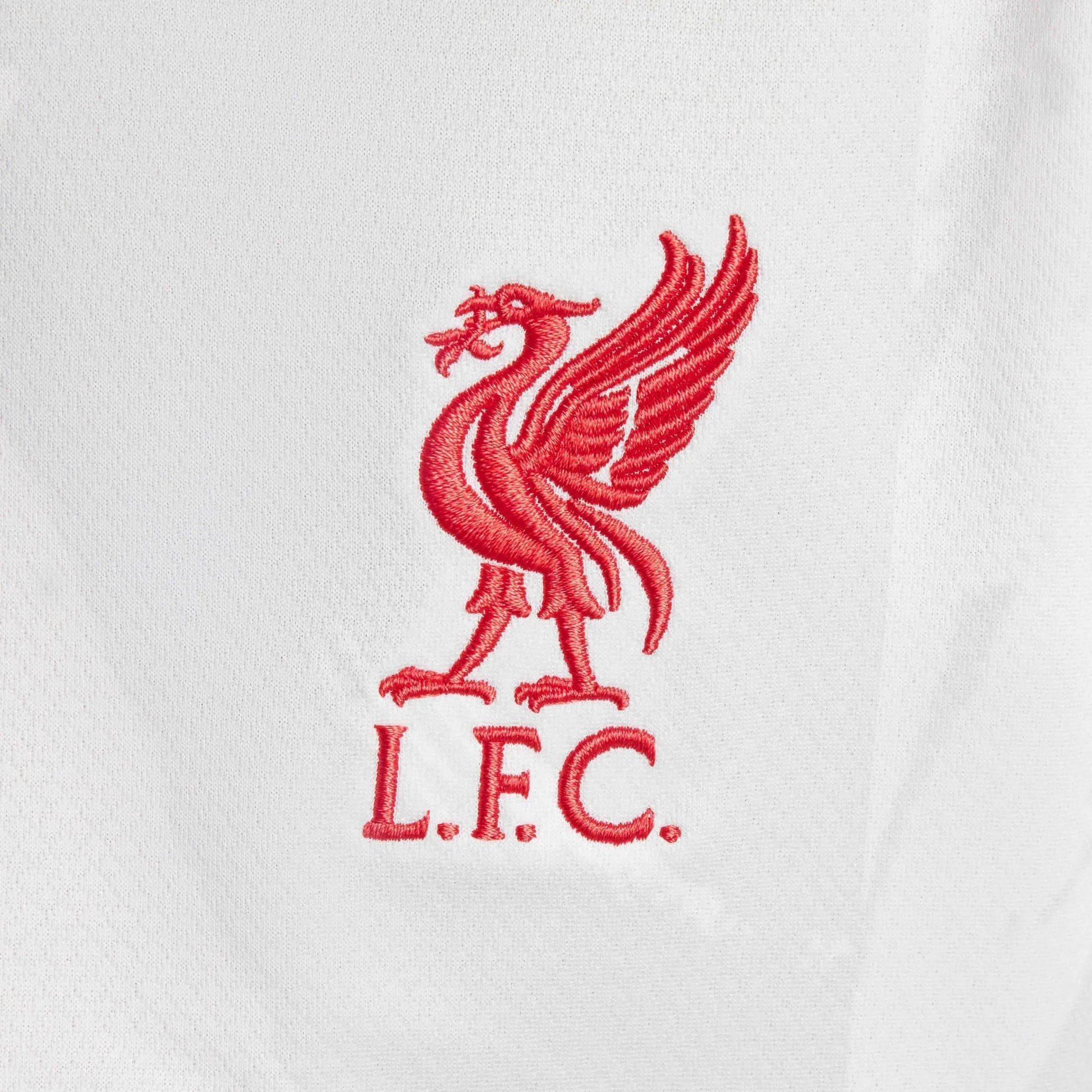 Nike 2024-25 Liverpool Youth Stadium Third Jersey