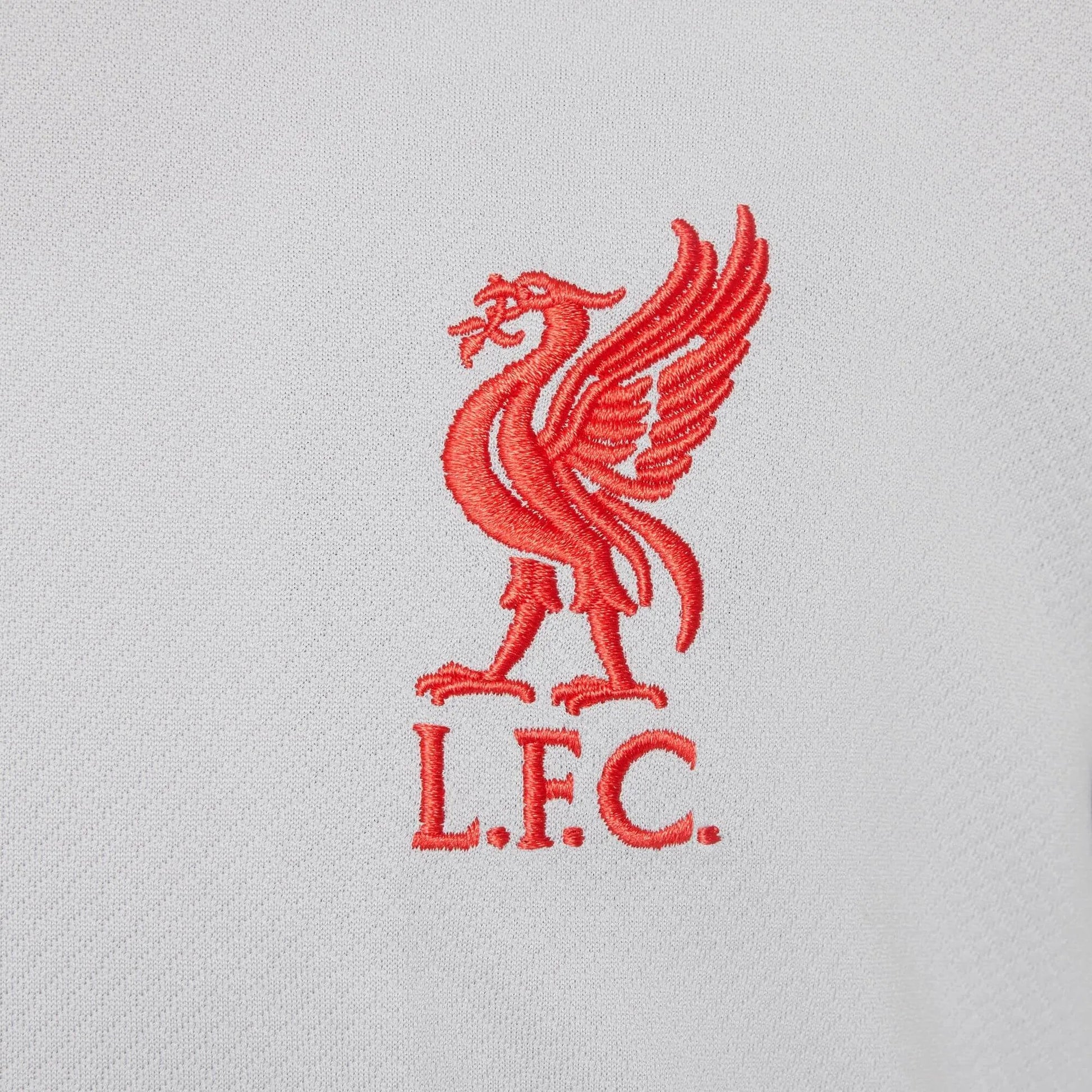 Nike 2024-25 Liverpool Youth Strike Top