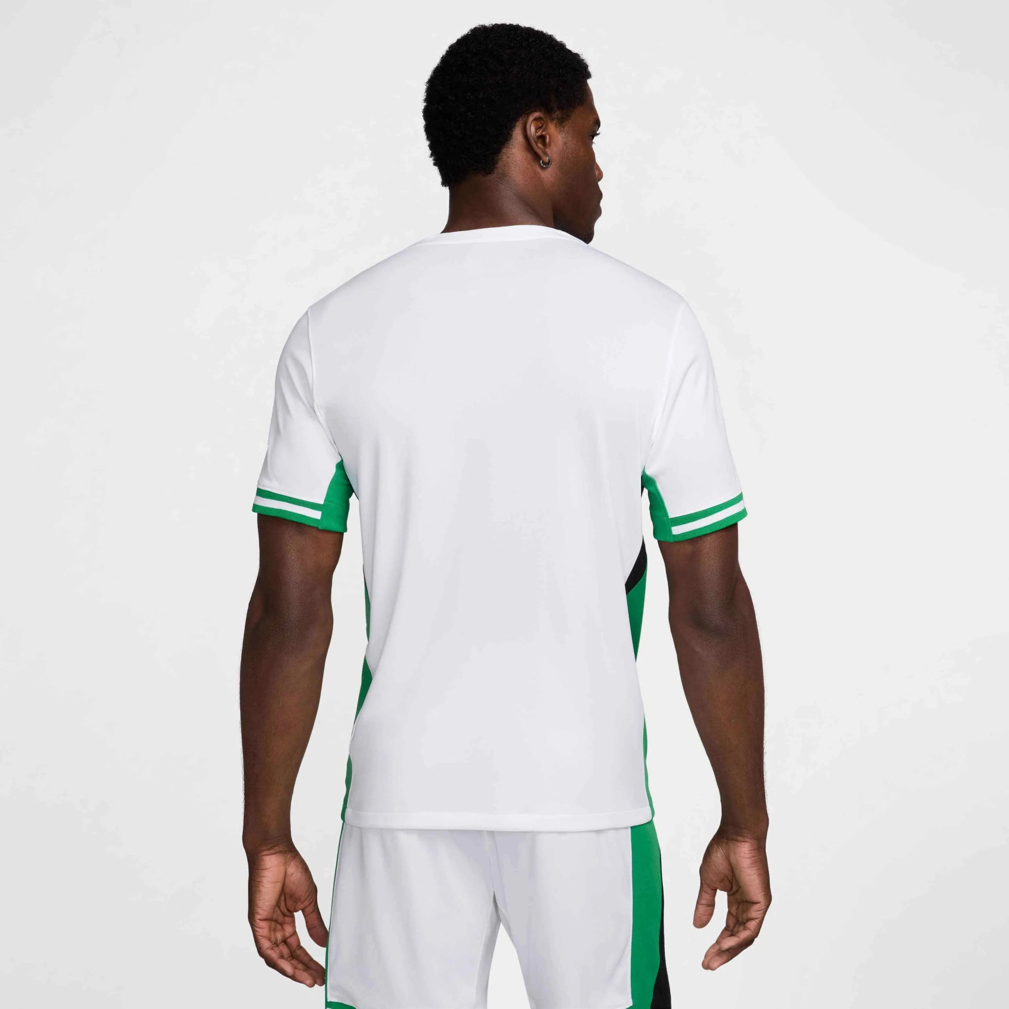 Nike 2024-25 Nigeria Men's Stadium Home Jersey (Model - Back)