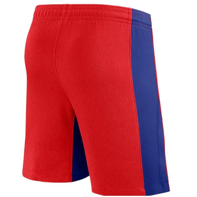 Nike 2024-25 USA Men's Stadium Away Shorts (Back)