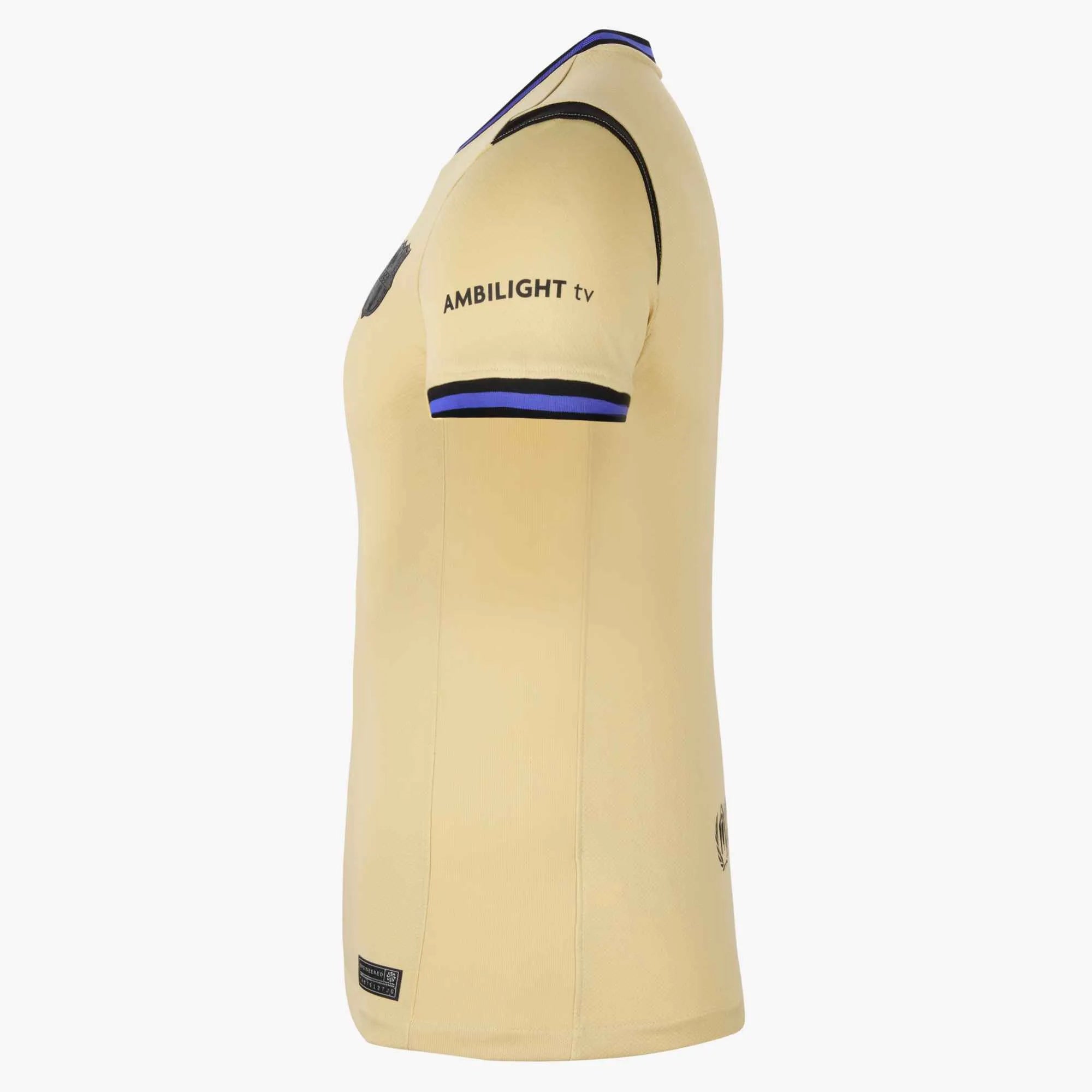 Nike 2025-26 Barcelona Women's Stadium Away Soccer Jersey (Side)