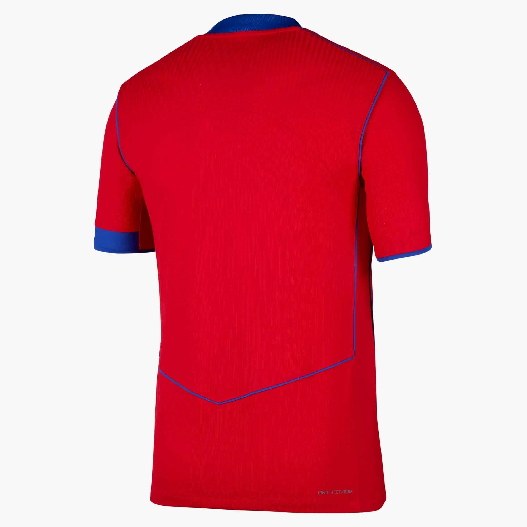 Nike 2025-26 PSG Men's Authentic Third Soccer Jersey (Back)
