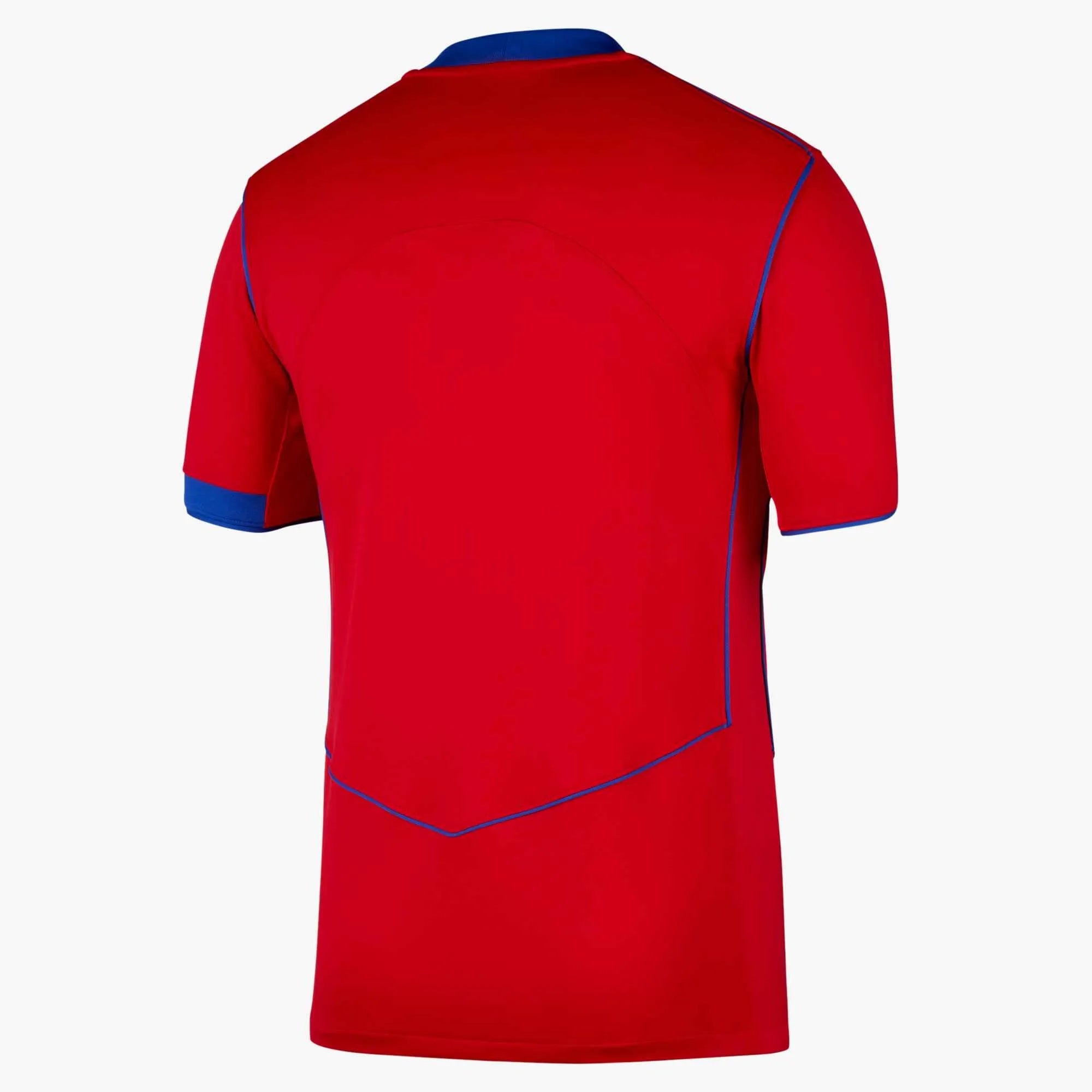 Nike 2025-26 PSG Men's Stadium Third Soccer Jersey (Back)
