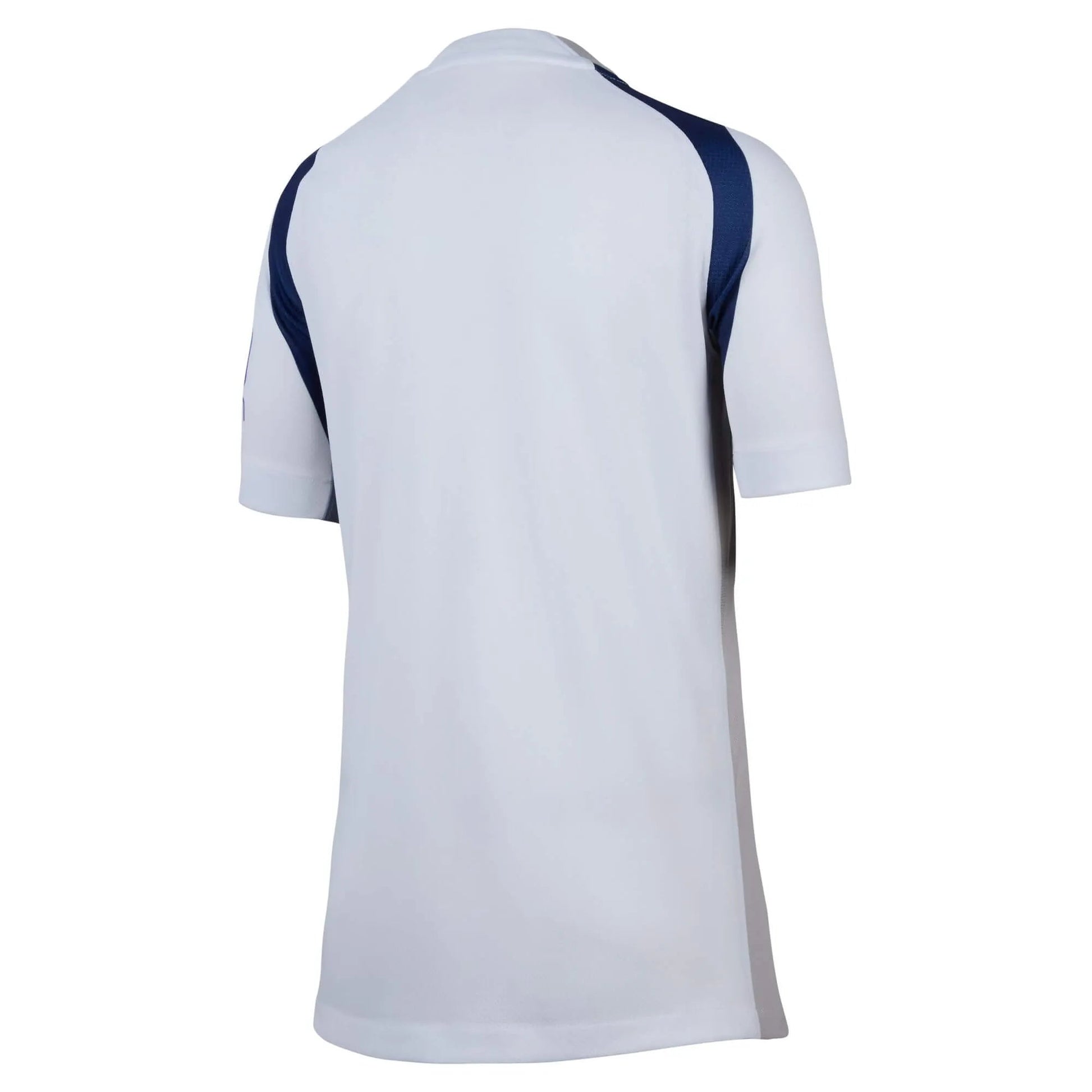 Nike 2025-26 Tottenham Youth Stadium Home Soccer Jersey (Back)