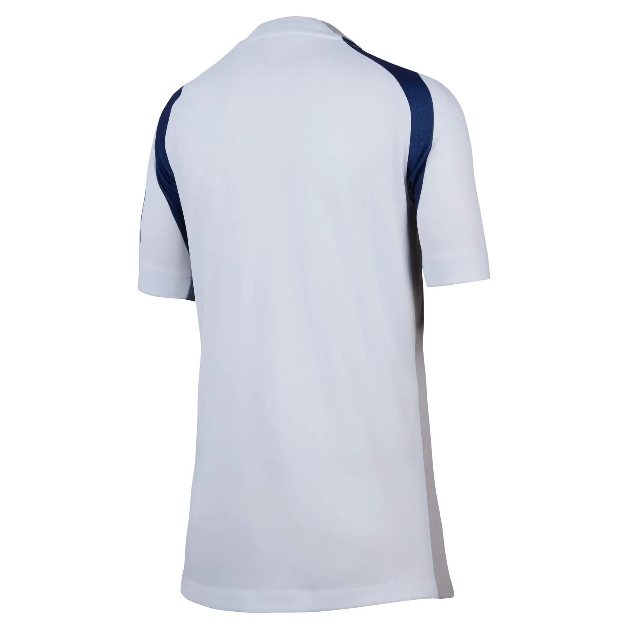 Nike 2025-26 Tottenham Youth Stadium Home Soccer Jersey (Back)