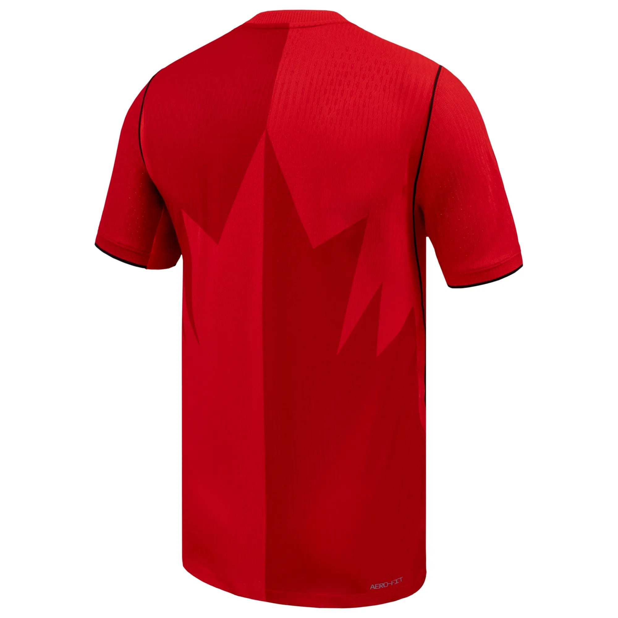 Nike 2026-27 Canada Men's Authentic Home Soccer Jersey