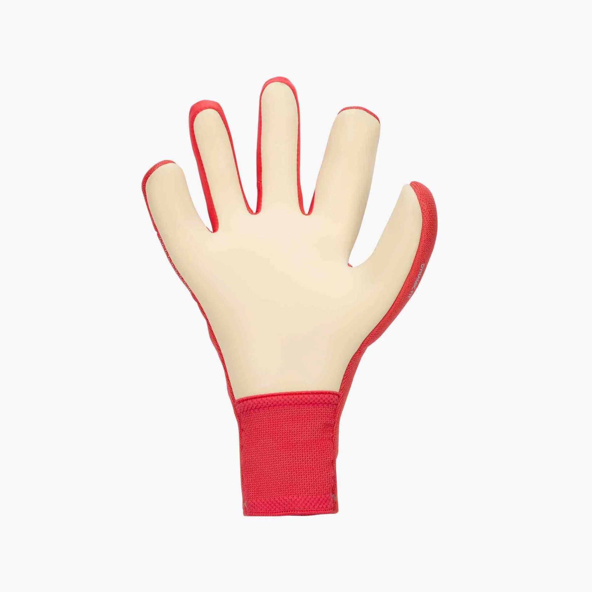 Nike Dynamic Fit Goalkeeper Gloves