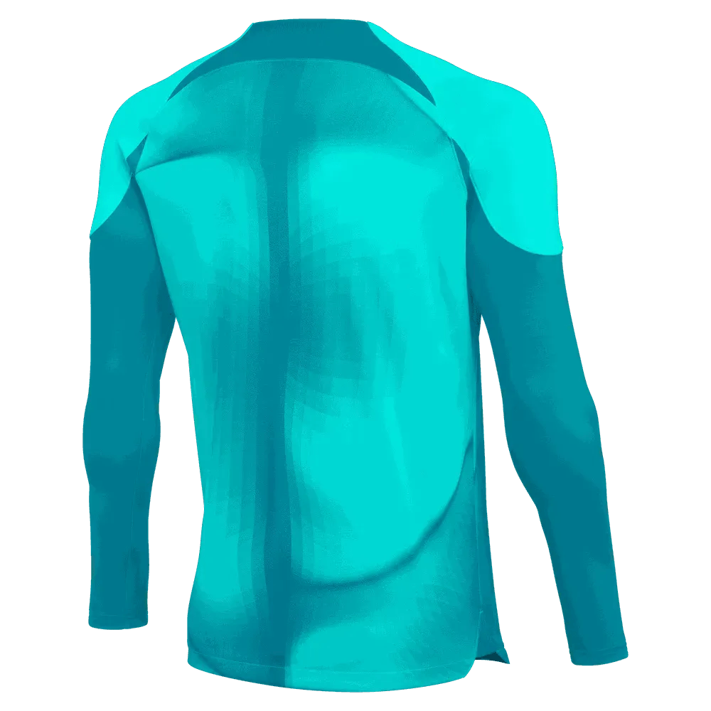 Nike Gardien IV LS Goalkeeper Jersey Turquoise-Black (Back)