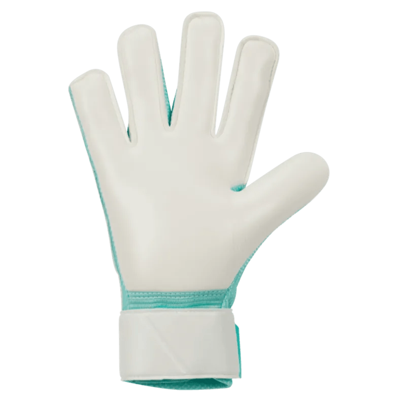 Nike Match Goalkeeper Gloves
