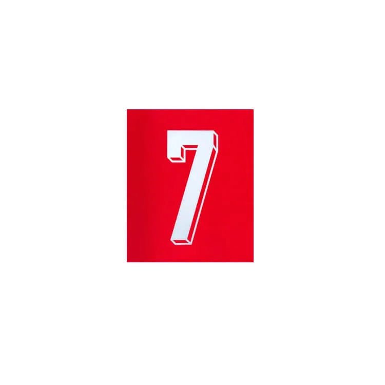 Portugal 2024-25 Home Ronaldo #7 YOUTH Jersey Name Set (Front)