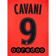 PSG 2019/20 Away Cavani #9 Jersey Name Set