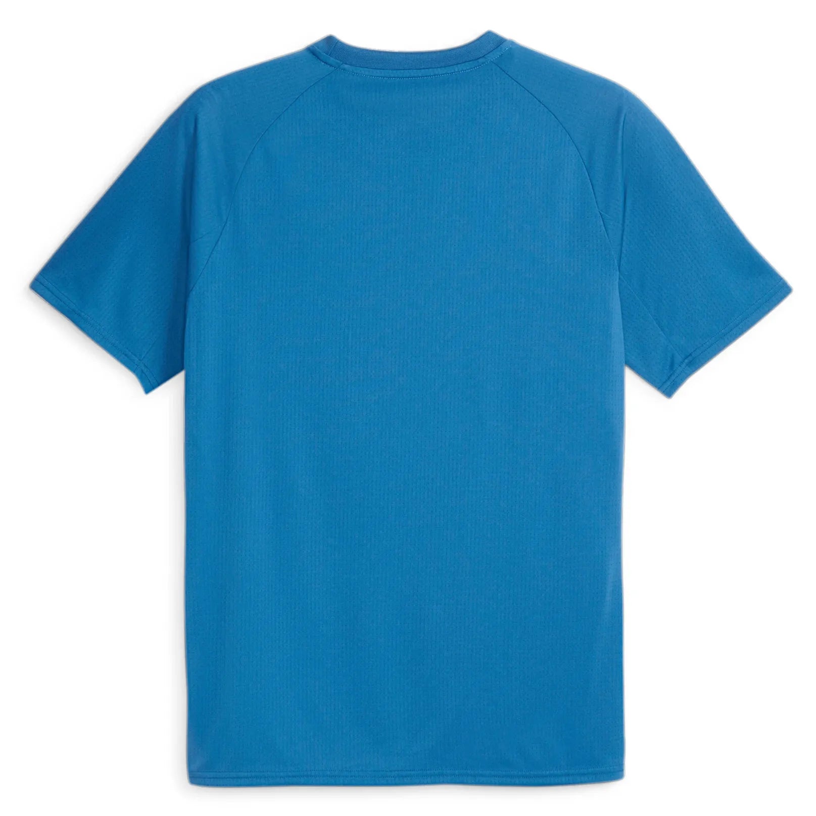 Puma 2023-24 Manchester City Men's Pre-Match Jersey (Back)