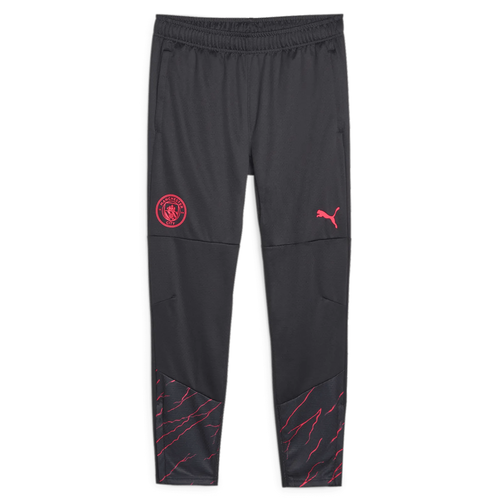 Puma 2023-24 Manchester City Men's Training Pants (Front)